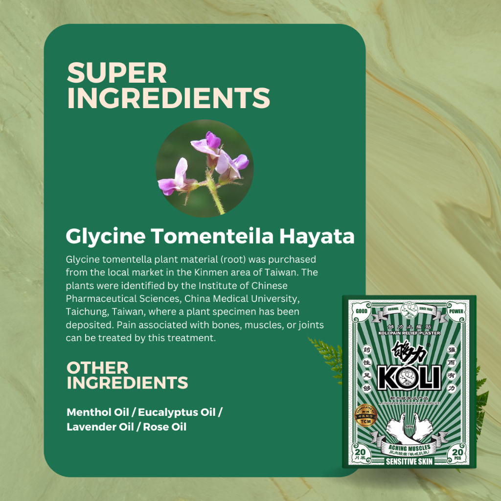 够力 KOLI SENSITIVE SKIN Pain Relief Plaster (ACHING MUSCLES) - 20 / 40 / 80 Pieces