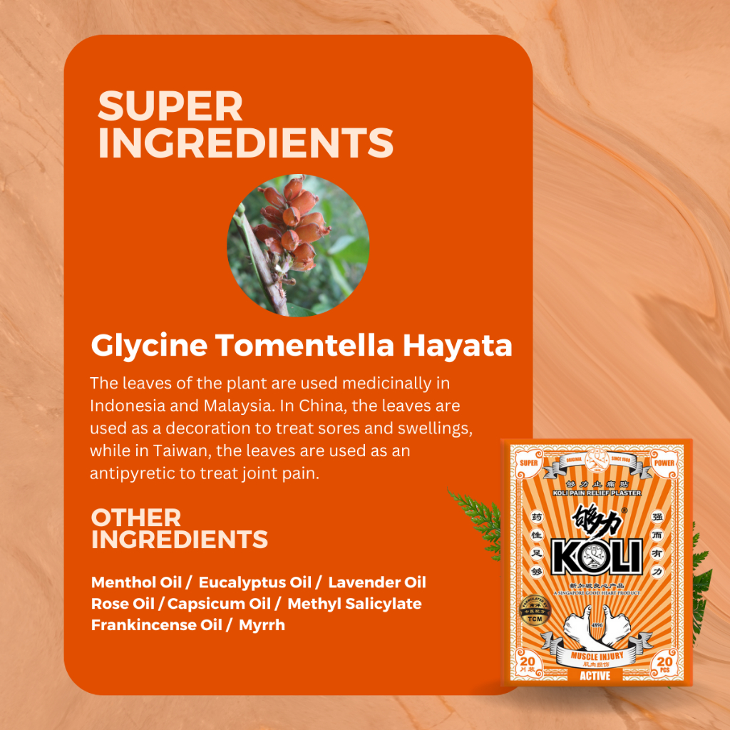 够力 KOLI ACTIVE Pain Relief Plaster (MUSCLE INJURY)