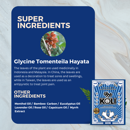 够力 KOLI AGEING Pain Relief Plaster (RHEUMATIC PAIN)